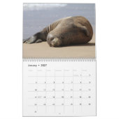 Hawaiian Monk Seals Kalender (Jan 2027)