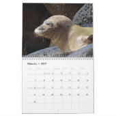 Hawaiian Monk Seals Kalender (Feb 2027)