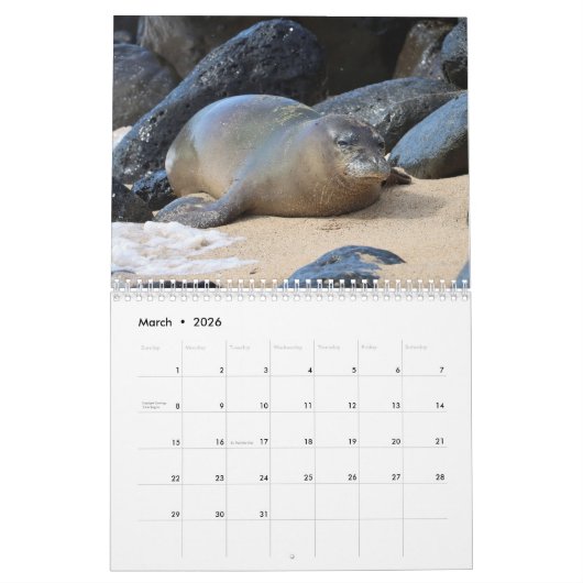 Hawaiian Monk Seals Kalender (Mar 2026)