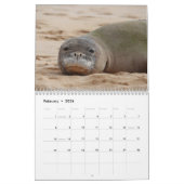 Hawaiian Monk Seals Kalender (Feb 2026)