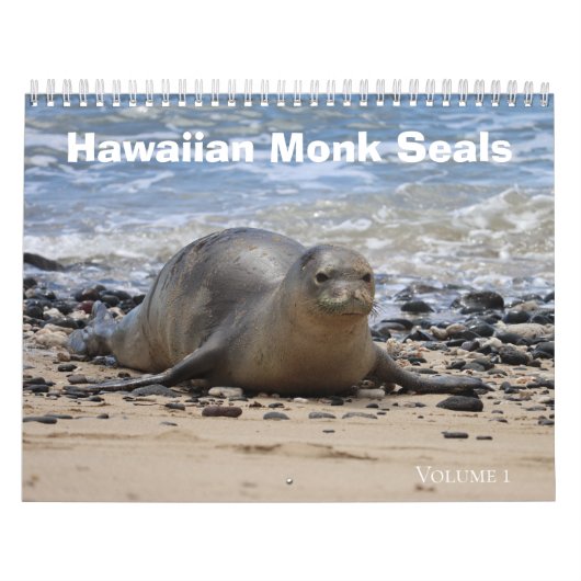 Hawaiian Monk Seals Kalender (Hoes)