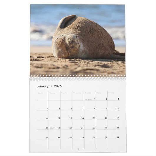 Hawaiian Monk Seals Kalender (Jan 2026)