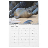 Hawaiian Monk Seals Kalender (Mar 2027)