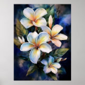 Hawaiian Moonlight Plumeria Poster (Voorkant)