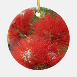 Hawaiian Native Ohia Lehua Flower Design Keramisch Ornament