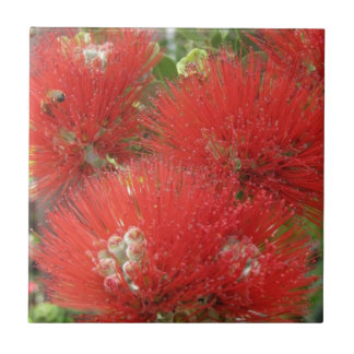 Hawaiian Native Ohia Lehua Flower Design Tegeltje