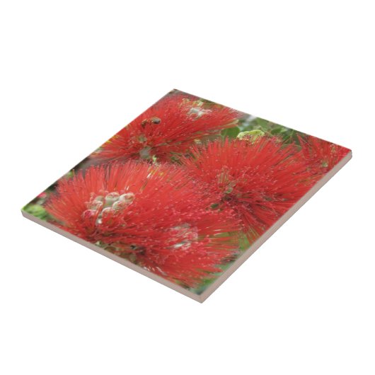 Hawaiian Native Ohia Lehua Flower Design Tegeltje (Zijkant)