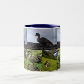 Hawaiian Nene-vogel Tweekleurige Koffiemok (Center)