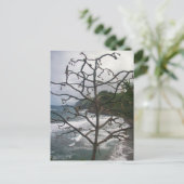 Hawaiian Ocean Beach Tree Foto Uitzicht Briefkaart (Staand voorkant)