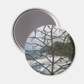 Hawaiian Ocean Beach Tree Foto Uitzicht Magneet (Voorkant / Achterkant)