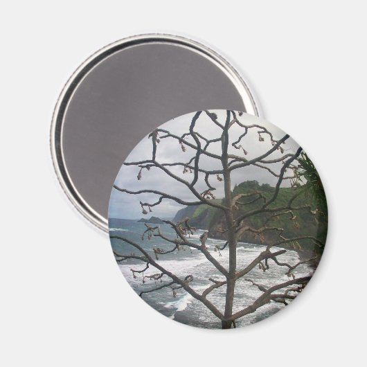 Hawaiian Ocean Beach Tree Foto Uitzicht Magneet (Voorkant / Achterkant)