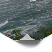 Hawaiian Ocean Beach Tree Foto Uitzicht Poster (Hoek)