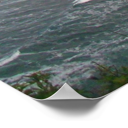 Hawaiian Ocean Beach Tree Foto Uitzicht Poster (Hoek)