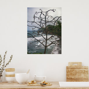 Hawaiian Ocean Beach Tree Foto Uitzicht Poster