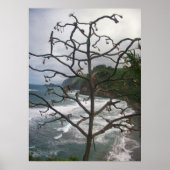Hawaiian Ocean Beach Tree Foto Uitzicht Poster (Voorkant)