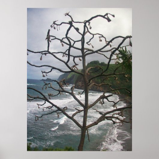 Hawaiian Ocean Beach Tree Foto Uitzicht Poster (Voorkant)