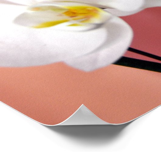 Hawaiian Orchids nummer drie print (Hoek)