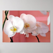 Hawaiian Orchids nummer drie print (Voorkant)