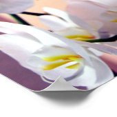 Hawaiian Orchids nummer vier Poster (Hoek)