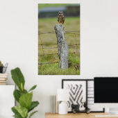 Hawaiian Owl Sitting on Fence Post Poster (Thuiskantoor)