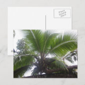 Hawaiian Palm Close Briefkaart (Voorkant / Achterkant)