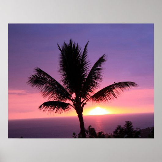 Hawaiian Palm Tree & Colorful Sunset Poster (Voorkant)