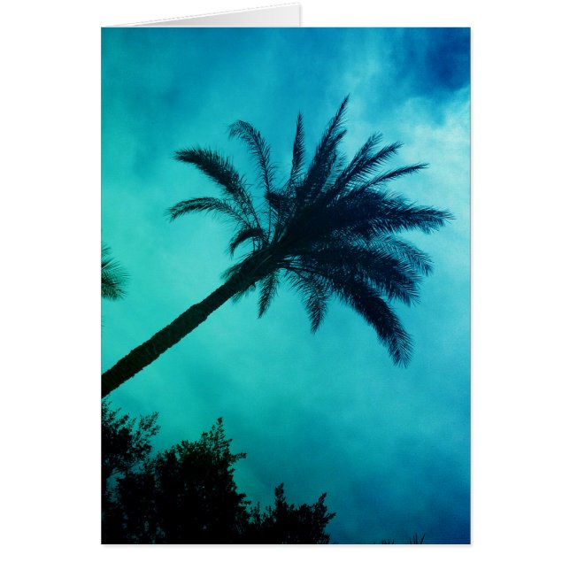 Hawaiian Palm Trees (Voorkant)