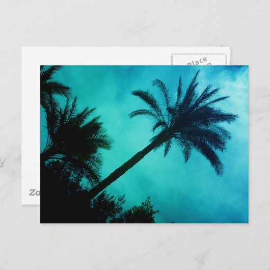 Hawaiian Palm Trees Briefkaart (Voorkant / Achterkant)