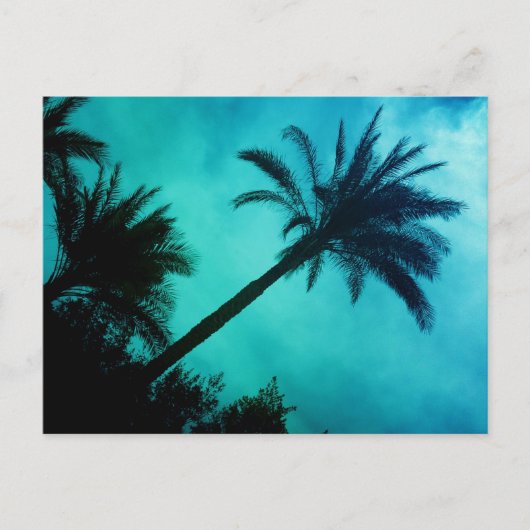 Hawaiian Palm Trees Briefkaart (Voorkant)