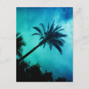 Hawaiian Palm Trees Briefkaart