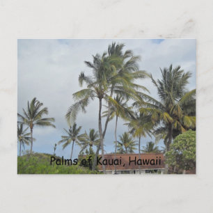 Hawaiian Palm Trees Briefkaart