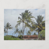 Hawaiian Palm Trees Briefkaart (Voorkant)
