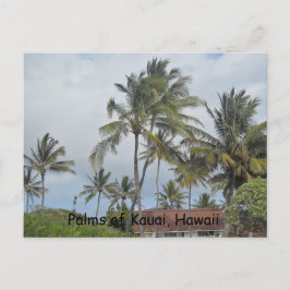 Hawaiian Palm Trees Briefkaart