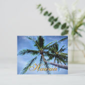Hawaiian Palm Trees Briefkaarten (Staand voorkant)