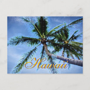 Hawaiian Palm Trees Briefkaarten