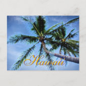 Hawaiian Palm Trees Briefkaarten (Voorkant)