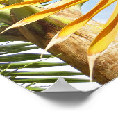 Hawaiian Palms Poster (Hoek)