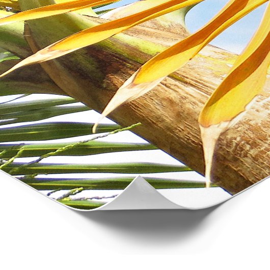 Hawaiian Palms Poster (Hoek)