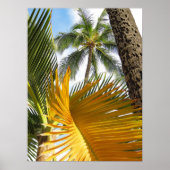 Hawaiian Palms Poster (Voorkant)