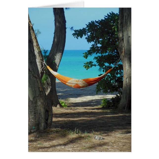 Hawaiian Paradise (Voorkant)