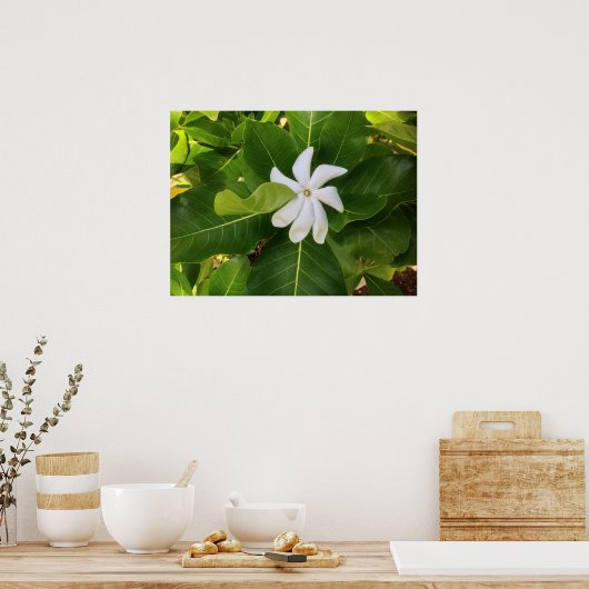 Hawaiian Pikake Jasmine Blossom Poster (Keuken)