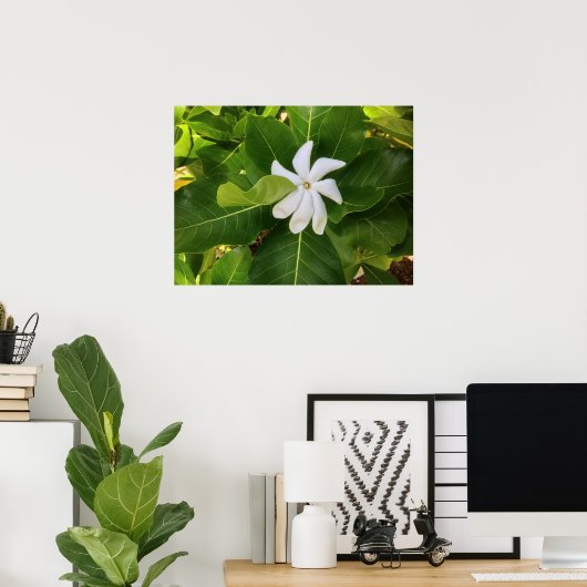 Hawaiian Pikake Jasmine Blossom Poster (Thuiskantoor)
