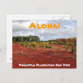 Hawaiian Pineapple Plantation Briefkaart (Voorkant / Achterkant)
