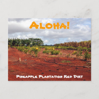 Hawaiian Pineapple Plantation Briefkaart