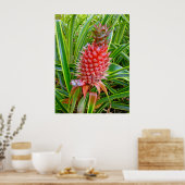 Hawaiian Pineapple Poster (Keuken)