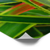 Hawaiian Pineapple Poster (Hoek)