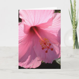 Hawaiian Pink Hibiscus Fine Art Foto Notitiekaartje