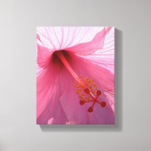 Hawaiian Pink Hibiscus Fine Art Photo Canvas Afdruk (Voorkant)