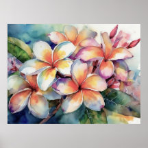Hawaiian Pink Plumeria Tree