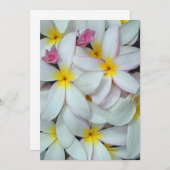 Hawaiian Plumeria (Voorkant / Achterkant)
